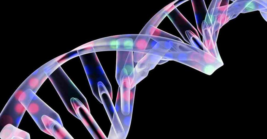 Proyecto de Investigación Genética y Parálisis Cerebral